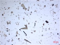 登錄號:A00004547藏品圖，第2張
