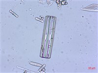 登錄號:A00004547藏品圖，第3張