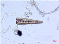 登錄號:A00004547藏品圖，第4張