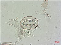 登錄號:A00004548藏品圖，第3張