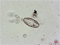 登錄號:A00004548藏品圖，第4張