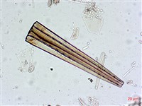 登錄號:A00004548藏品圖，第8張
