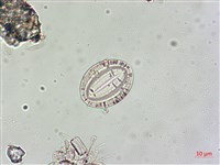 登錄號:A00004549藏品圖，第4張