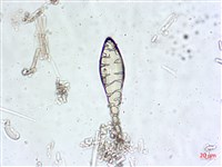 登錄號:A00004549藏品圖，第5張