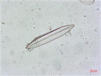 登錄號:A00004549藏品圖，第6張