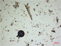 登錄號:A00004551藏品圖，第2張