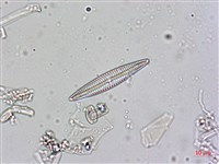 登錄號:A00004551藏品圖，第4張