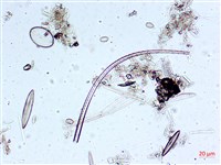 登錄號:A00004551藏品圖，第8張