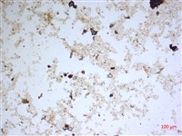 登錄號:A00004552藏品圖，第2張