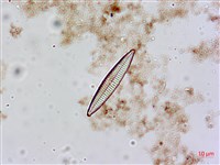 登錄號:A00004552藏品圖，第3張