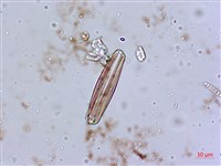 登錄號:A00004553藏品圖，第3張