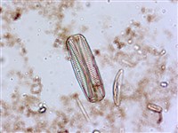 登錄號:A00004553藏品圖，第4張