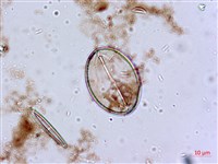 登錄號:A00004553藏品圖，第7張