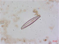 登錄號:A00004554藏品圖，第5張