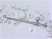 登錄號:A00004556藏品圖，第4張