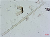登錄號:A00004557藏品圖，第4張