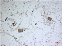 登錄號:A00004558藏品圖，第2張