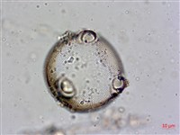 登錄號:A00004560藏品圖，第3張