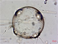 登錄號:A00004560藏品圖，第6張
