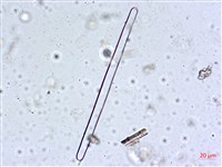 登錄號:A00004560藏品圖，第10張