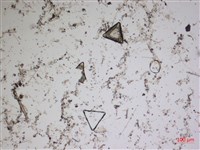 登錄號:A00004561藏品圖，第2張