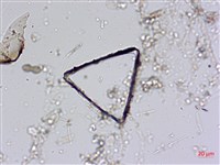 登錄號:A00004561藏品圖，第7張