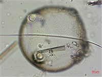 登錄號:A00004562藏品圖，第4張