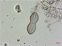 登錄號:A00004562藏品圖，第6張