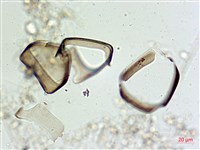 登錄號:A00004562藏品圖，第8張