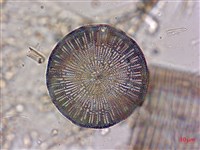 登錄號:A00004563藏品圖，第4張