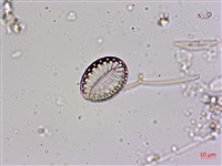 登錄號:A00004564藏品圖，第5張
