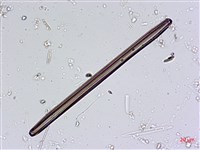 登錄號:A00004564藏品圖，第8張