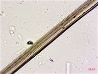 登錄號:A00004564藏品圖，第9張