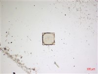 登錄號:A00004565藏品圖，第2張