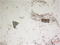 登錄號:A00004565藏品圖，第3張