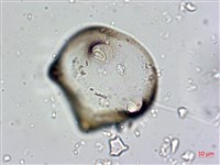 登錄號:A00004565藏品圖，第7張