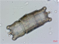 登錄號:A00004566藏品圖，第5張
