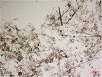 登錄號:A00004567藏品圖，第2張