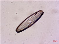 登錄號:A00004567藏品圖，第6張