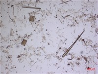 館號:A00004568藏品圖，第2張