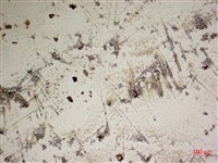 登錄號:A00004572藏品圖，第2張