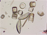登錄號:A00004574藏品圖，第3張