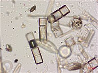 登錄號:A00004574藏品圖，第4張