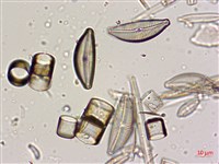 登錄號:A00004574藏品圖，第5張