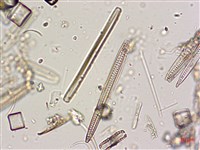 登錄號:A00004574藏品圖，第7張
