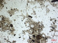 登錄號:A00004576藏品圖，第2張