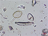 登錄號:A00004579藏品圖，第3張