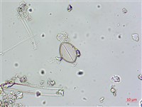 登錄號:A00004580藏品圖，第4張