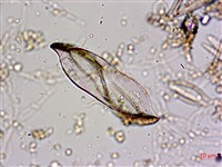 登錄號:A00004584藏品圖，第3張