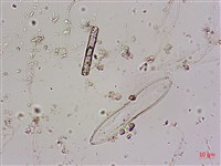 登錄號:A00004585藏品圖，第5張